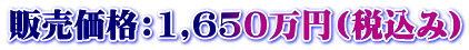 ̔iF1,650~(ō)