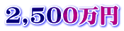 2,500万円